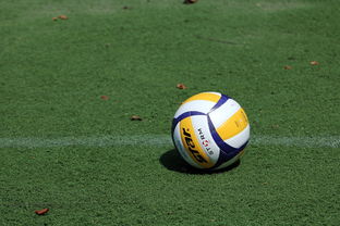 开云APP-女排世锦赛:中国队力压群雄,奖牌不断!,女排世锦赛名额